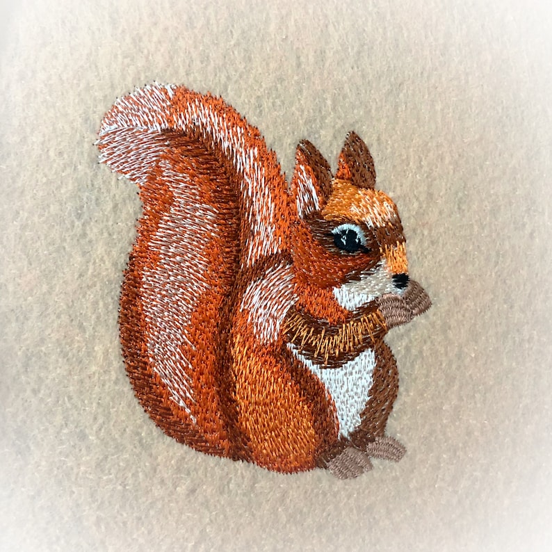 Squirrel machine embroidery design animal embroidery  etsy