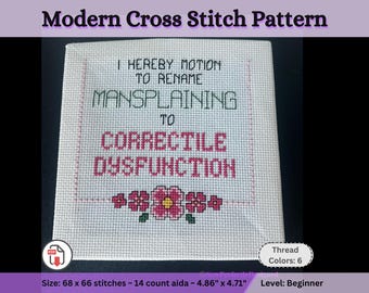 Feminist Humor Cross Stitch Pattern, Mansplaining Joke, Sarcastic Empowerment Embroidery Chart for Square Canvas, Subversive Snarky Download