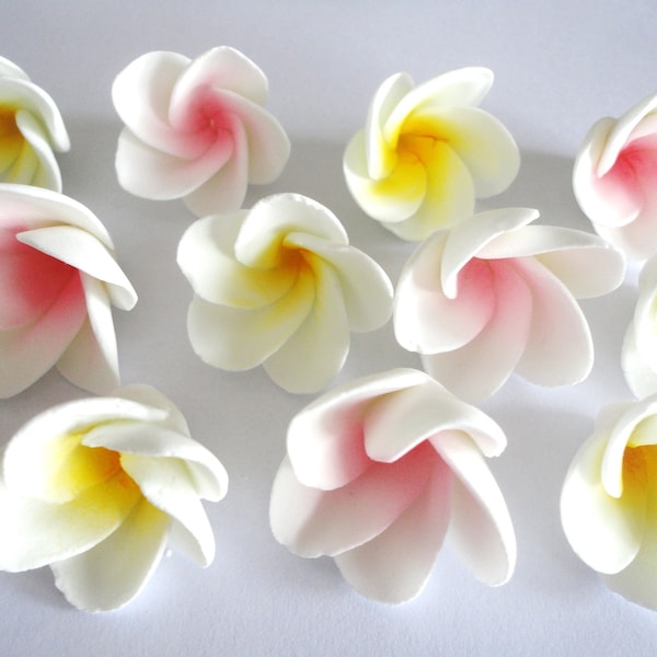 12 x Frangipani Gum Paste Cake Toppers.  Sugar Flowers Wedding Bridal Shower Beach Birthday Cake Topper