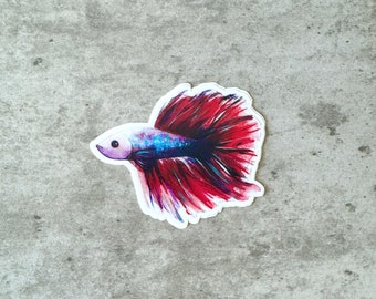 Pez Betta
