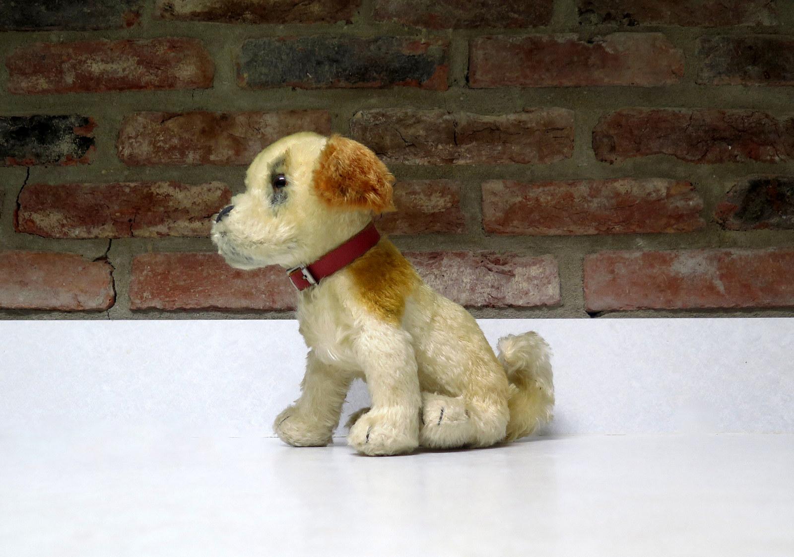 Vintage Steiff Dog - Etsy