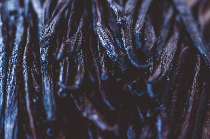 Homemade Vanilla Extract Kit With Gourmet Vanilla Beans 8.5 Etsy