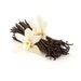 10 Premium Gourmet Vanilla Beans - Madagascar Bourbon, Fresh & Prime Grade A for Vanilla Extract and Baking (10 BEANS) 