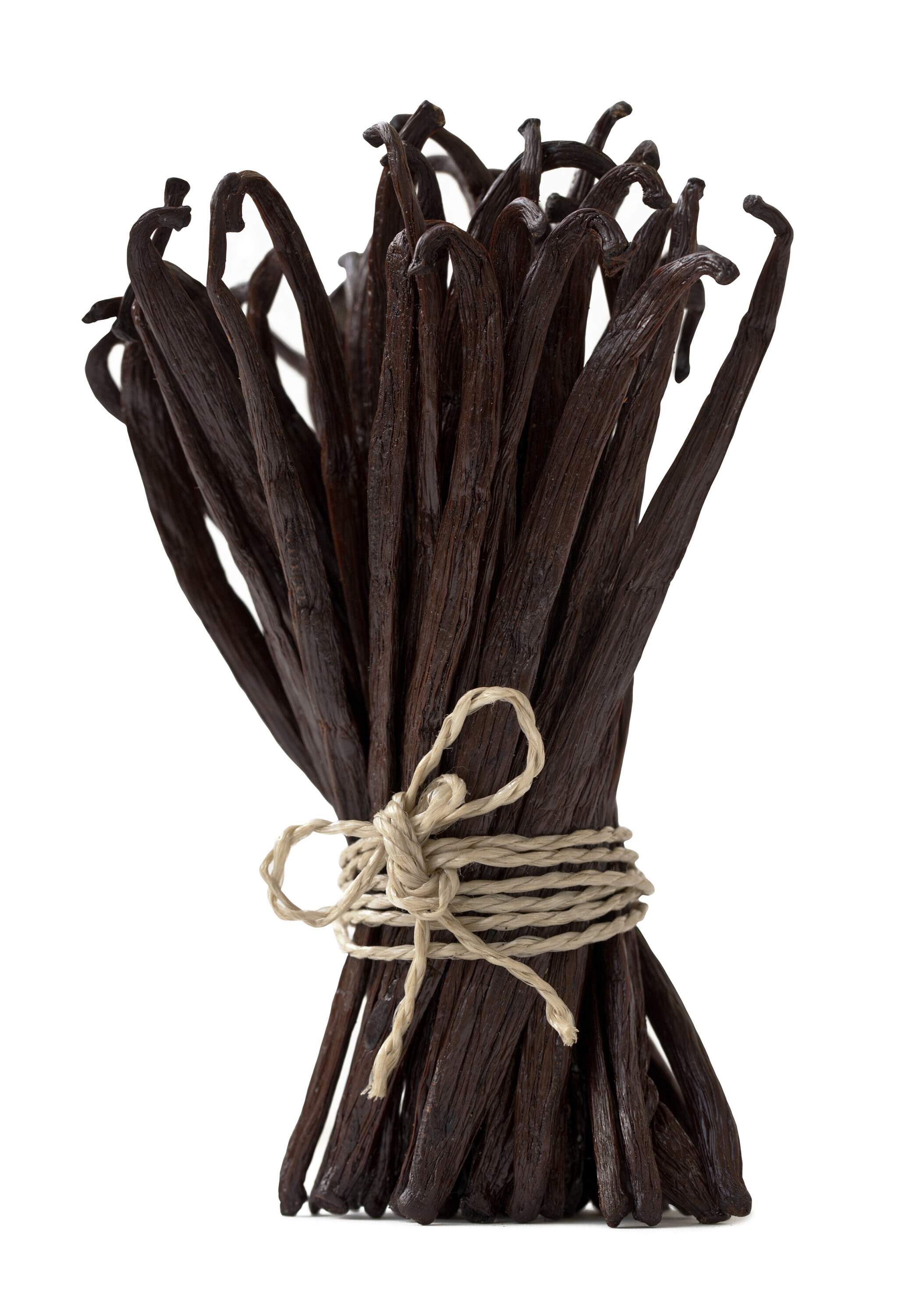 Madagascar Gourmet Vanilla Beans Fresh & Prime Grade A Etsy Canada