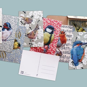 CARTES POSTALES 8 OISEAUX / Lot de 8 cartes oiseaux illustrées dans une boîte cadeau