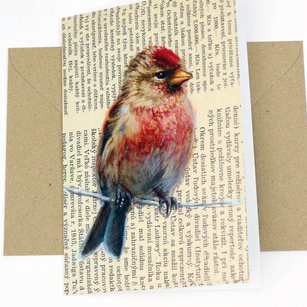 GREETING CARD Redpoll / Birds / Blank Greeting Card from original Luckybird Paintings / Suitable for any occasion