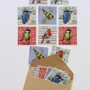 VOGEL STICKERS / Adesivos Envelopes / Conjunto de 10 Adesivos / Tuinvogels Europa