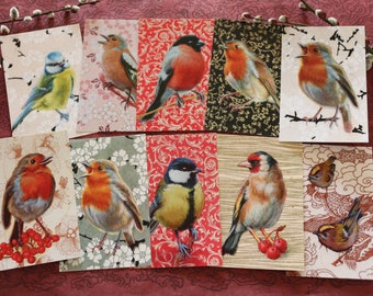 ANSICHTKAARTEN set van 10 / giftbox / VOGELS Europa / Selectie postkaarten van Luckybirdart schilderijtjes / geschikt voor elke gelegenheid