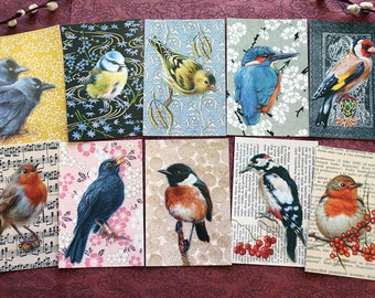 POSTKAARTEN Set van 10 / in een kaart / VOGELS Europa / Collectie blanco Postkaarten / Luckybirdart / Geschikt voor elke gelegenheid