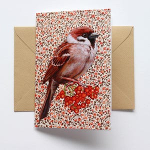 Dubbelzijdige kaart Huismus / Vogels / Musje / Blanco binnenzijde / Inclusief Envelop