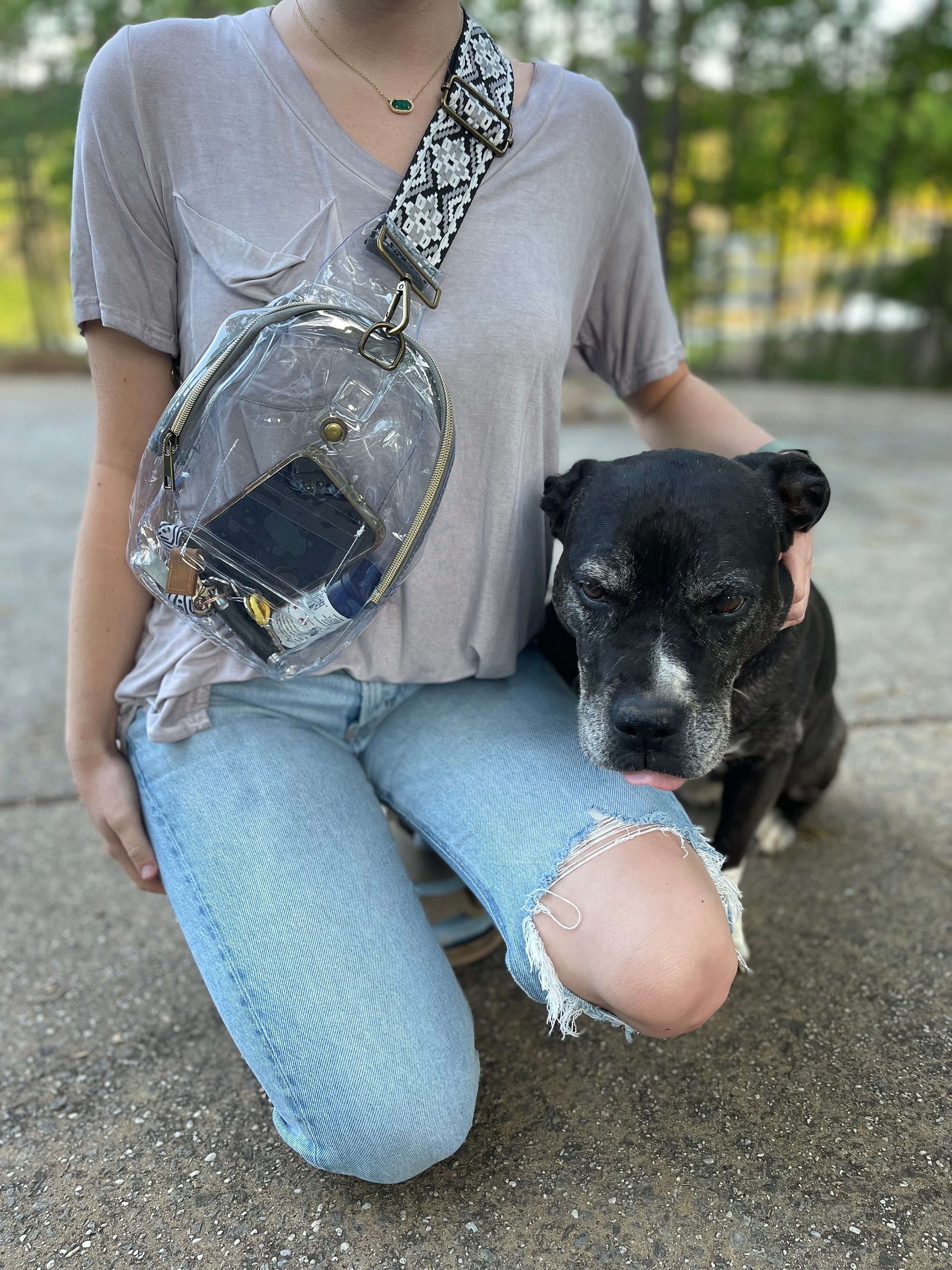 Clear Backpack Purse Etsy
