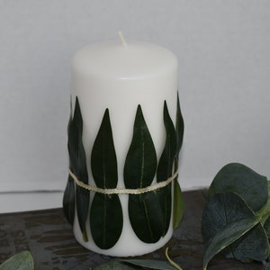 white unscented pillar candle encircled with green leaves