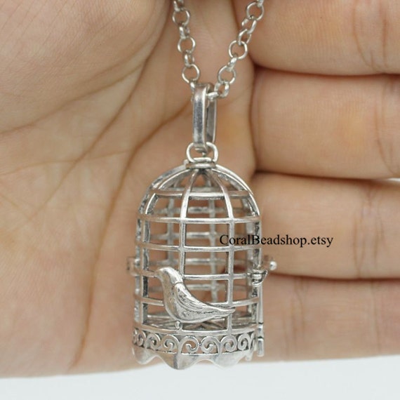 Buy Unisex Birdcage Pendant Necklace on Cord or Chain, Bird in Cage Jewelry  Gift, Adjustable Choker or 16 18 20 22 24 30 Inch Stainless Steel Online in  India - Etsy