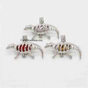 5pcs Ancient Dinosaur Locket Stainless Steel Tone Rock Bead Pearl Cage Pendant Aromatherapy Perfume Diffuser Locket Charms-AL115