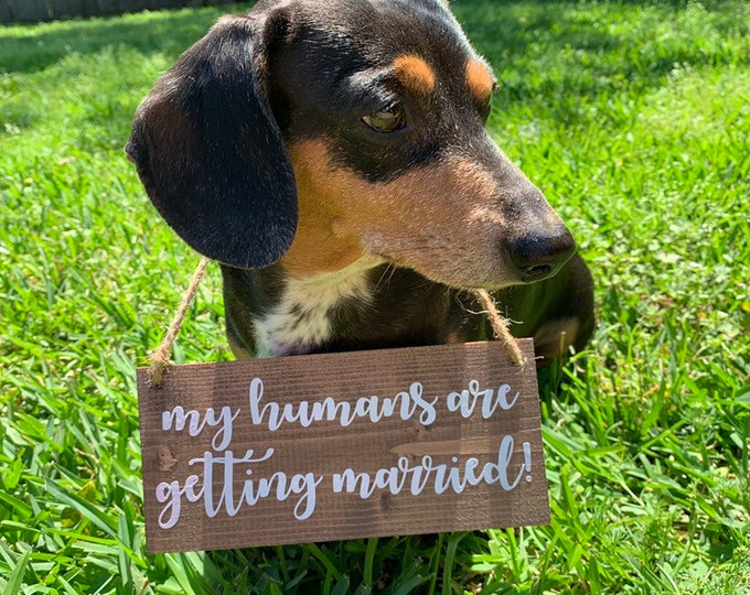 Small Dogs Sign Small Dog Sign-my Humans Are Getting Married-engagement Sign-photo Prop ...