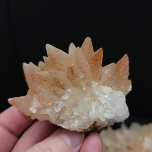 Dogtooth Calcite On Fluorite #156