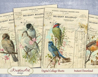 Deliquet - Digital Collage Sheet Digital Cards C121 Printable Download Image Digital Atc Card ACEO Birds Cards