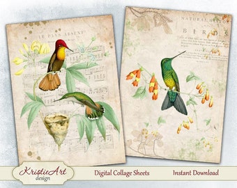 World of Birds C226 - Digital Collage Sheet - Greeting ATC Cards