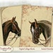 see more listings in the ATC cards / ACEO section