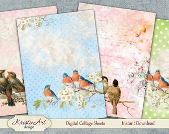 Summer Birds - Digital Collage Sheet Digital Cards C093 Printable Download Image Tags Digital Image Atc Cards ACEO Bird Cards