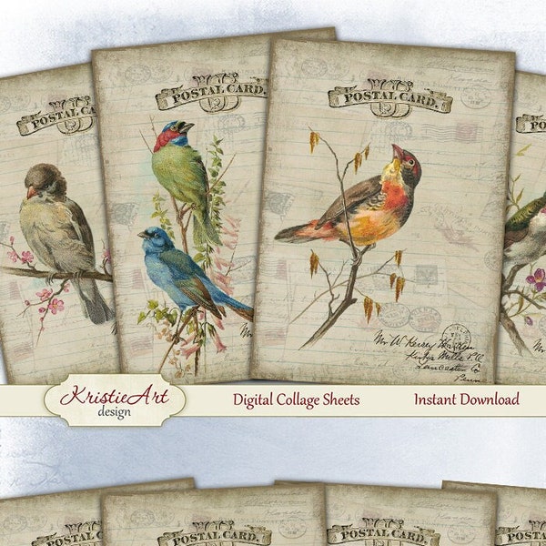 Postcard Birds - Digital Collage Sheet Digital Cards C148 Printable Download Image Tags Digital Image Atc ACEO Retro Birds