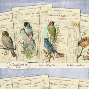 Deliquet - Feuille de collage numérique Cartes numériques C121 Image de téléchargement imprimable Carte Atc numérique Cartes ACEO Birds