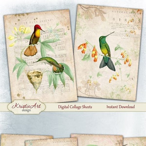 World of Birds C226 - Digital Collage Sheet - Greeting ATC Cards
