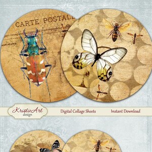 Bugs and Butterflies - Digital Collage Sheet - Digital cards C201 printable download tags digital round Insects atc card