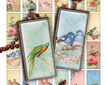 Spring Birds Digital collage sheet PR015 printable download 1x2 inch image rectangle glass pendant resin 1x2 domino bird image