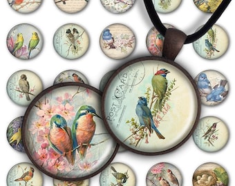 Digital Collage Sheet - Lovely birds PC069 1inch Round image bird 30mm 25mm 20mm Circle Pendant Instant Download Jewelry Making