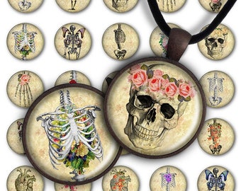 Feuille de collage numérique PC038 - Anatomie florale 1 pouce rond 30 mm 25 mm 20 mm Pendentif cercle Télécharger Halloween