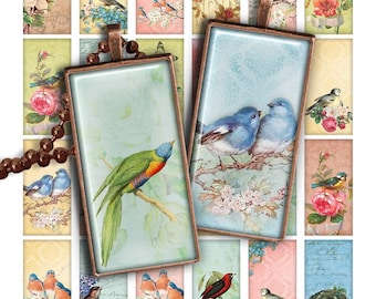 75% OFF SALE Spring Birds Digital collage sheet PR015 printable download 1x2 inch image rectangle glass pendant resin 1x2 domino bird image
