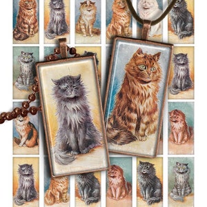 Cats Digital collage sheet PR016 printable download 1x2 inch image size rectangle glass pendant resin 1x2 domino digital image