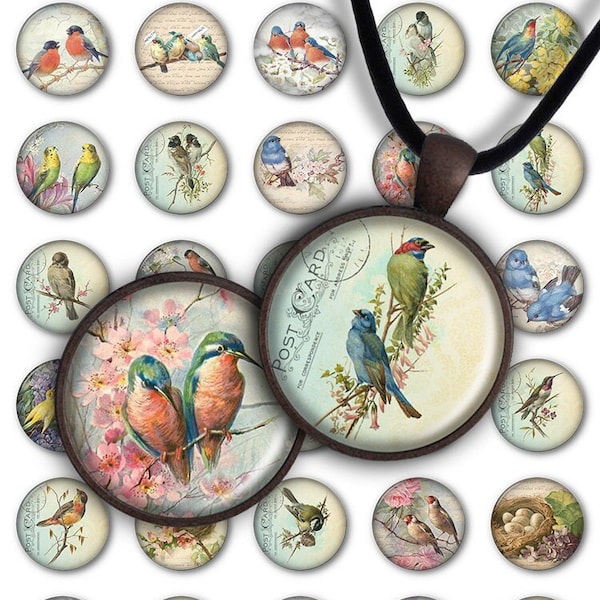 Digital Collage Sheet - Lovely birds PC069 1inch Round image bird 30mm 25mm 20mm Circle Pendant Instant Download Jewelry Making