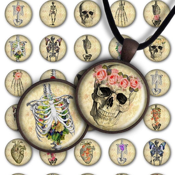 Digital Collage Sheet PC038 - Floral Anatomy 1inch Round 30mm 25mm 20mm Circle Pendant Download Halloween