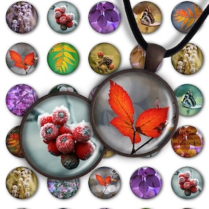 Digital Collage Sheet 1 inch round 1 inch circle Pendant Printable Download PC027 Instant Download for jewelry making - Seasons