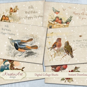 Oiseaux de Noël - Feuille de collage numérique Cartes de Noël numériques C198 Imprimable Bonne année Oiseaux d’hiver Numérique Atc ACEO