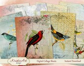 Summer birds - Digital Collage Sheet Digital cards C049 ATC Cards Printable download tags digital image paper craft scrapbook