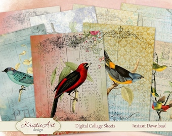 Summer birds - Digital Collage Sheet Digital cards C049 ATC Cards Printable download tags digital image paper craft scrapbook