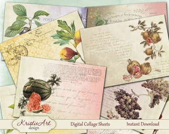 Digital Collage Sheet Fruits & Berries Printable Download, Digital cards C069, Atc card Aceo size printable download retro