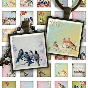 Birds - Digital Collage Sheet - 1 inch square size image for pendants glass cabochon charms resin digital image magnets jewelry