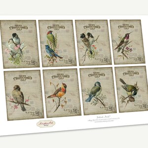 May include: A sheet of eight vintage-style postcards featuring watercolor illustrations of various birds perched on branches. Each card has a "POSTAL CARD" header and a faded, aged paper background with stamps and script.