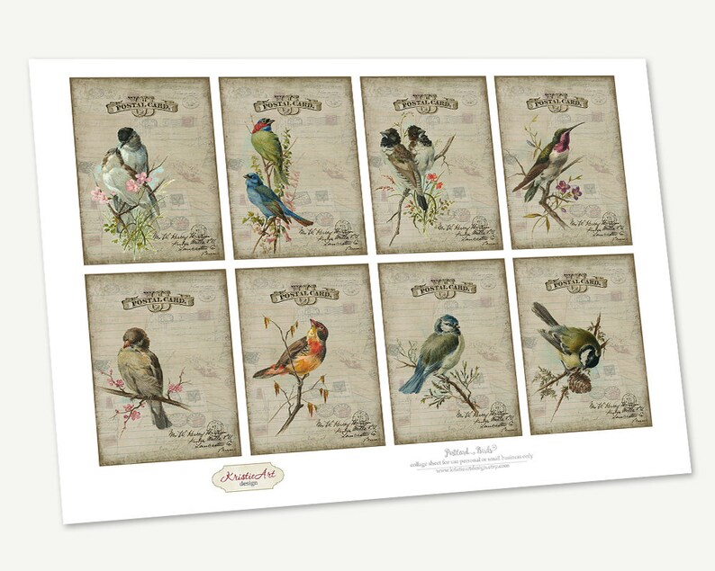 May include: A sheet of eight vintage-style postcards featuring watercolor illustrations of various birds perched on branches. Each card has a "POSTAL CARD" header and a faded, aged paper background with stamps and script.