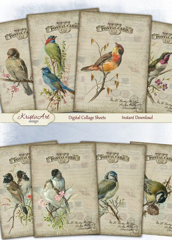Postcard Birds - Digital Collage Sheet Digital Cards C148 Printable Download Image Tags Digital Image Atc ACEO Retro Birds
