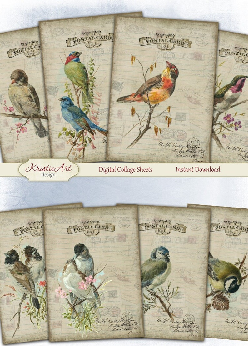 May include: A collection of vintage-style postcards featuring detailed illustrations of various birds perched on branches with flowers. The postcards have a faded, aged appearance with the text "POSTAL CARD" and "Digital Collage Sheets" visible.