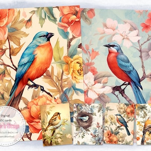 Serenata da natureza: cartões ATC digitais com ilustrações requintadas de pássaros e flores | Capítulo 288