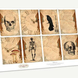 May include: Set of eight vintage-style printable Halloween scrapbook paper featuring skulls, a skeleton, a clock, a raven, and a post card. The paper has a distressed, aged look.