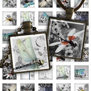 Square pendant image - Dragonflies digital printable square 1 inch image for pendants glass charms resin digital image magnets