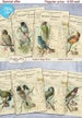 75% OFF SALE Deliquet - Digital Collage Sheet Digital Cards C121 Printable Download Image Digital Atc Card ACEO Birds Cards 