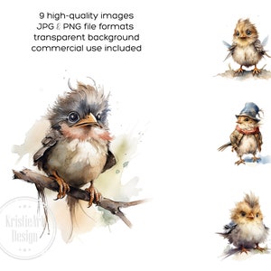 Adorables oiseaux mignons Clipart ensemble - téléchargement immédiat, graphiques numériques, CA011